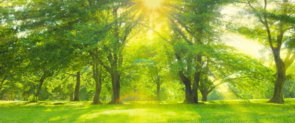 Outdoor Contest Photo 2